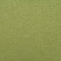 Beachcomber Kiwi